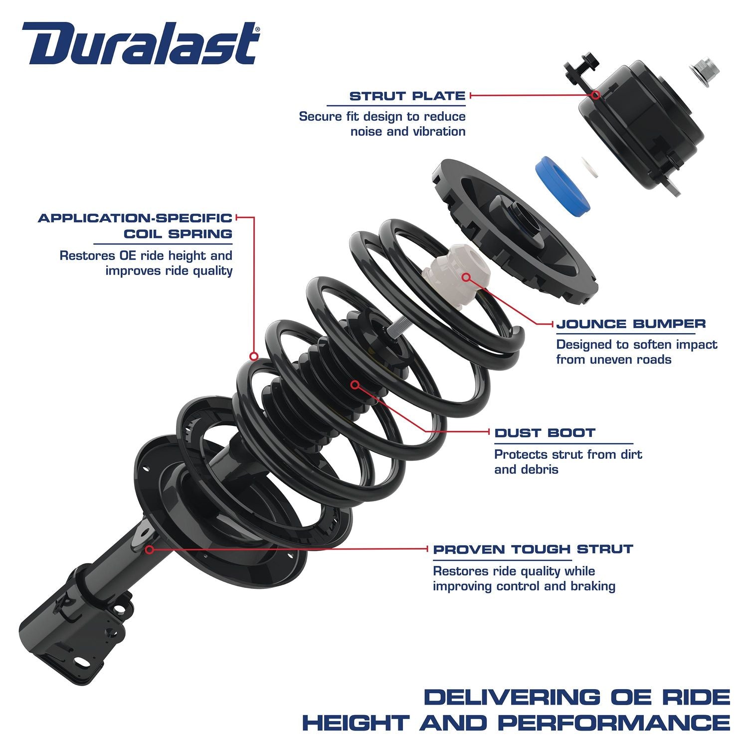 Duralast Suspension Strut and Coil Spring Assembly LS33-80931B