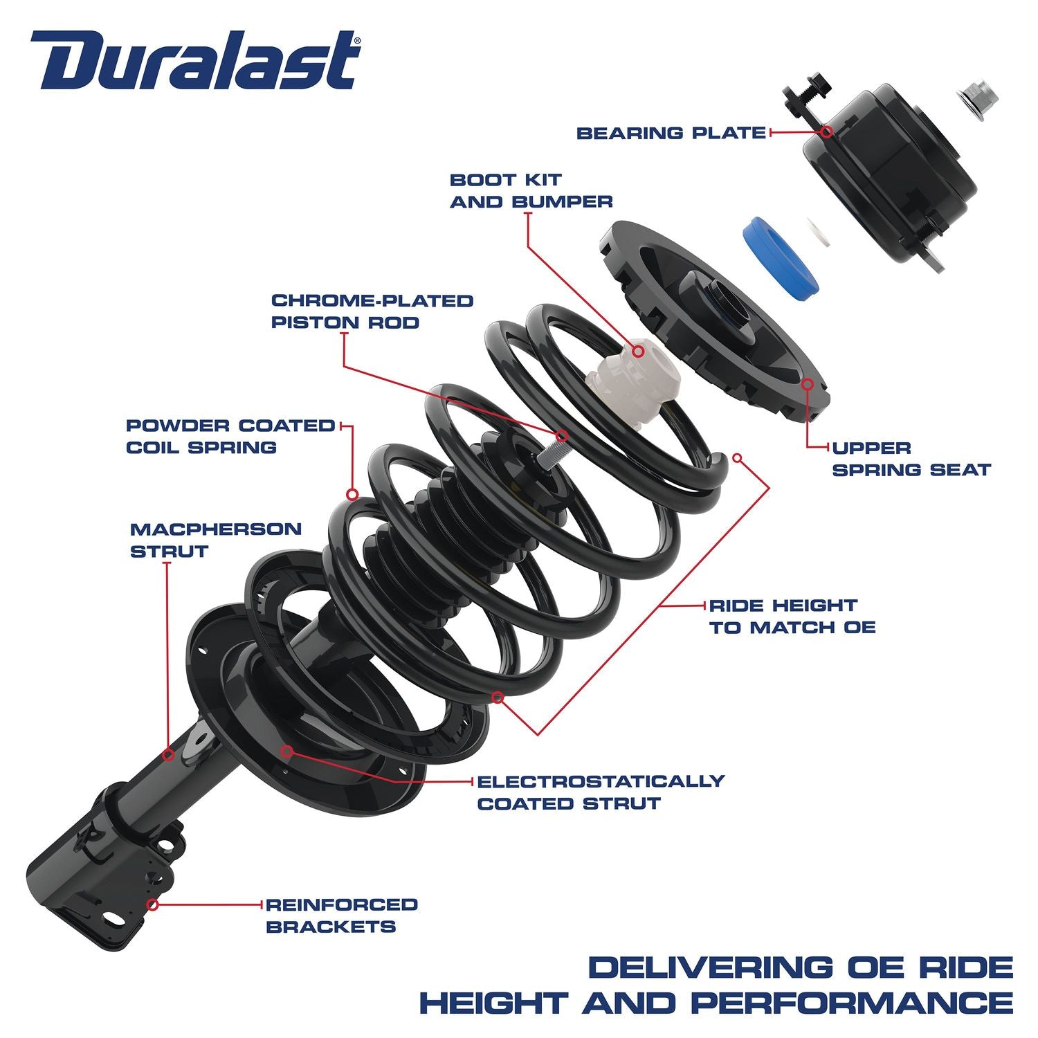 Duralast Suspension Strut and Coil Spring Assembly LS33-80931B
